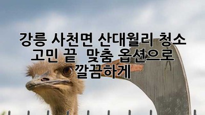 강릉 사천면 산대월리 청소 고민 끝! ✨ 맞춤 옵션으로 깔끔하게!